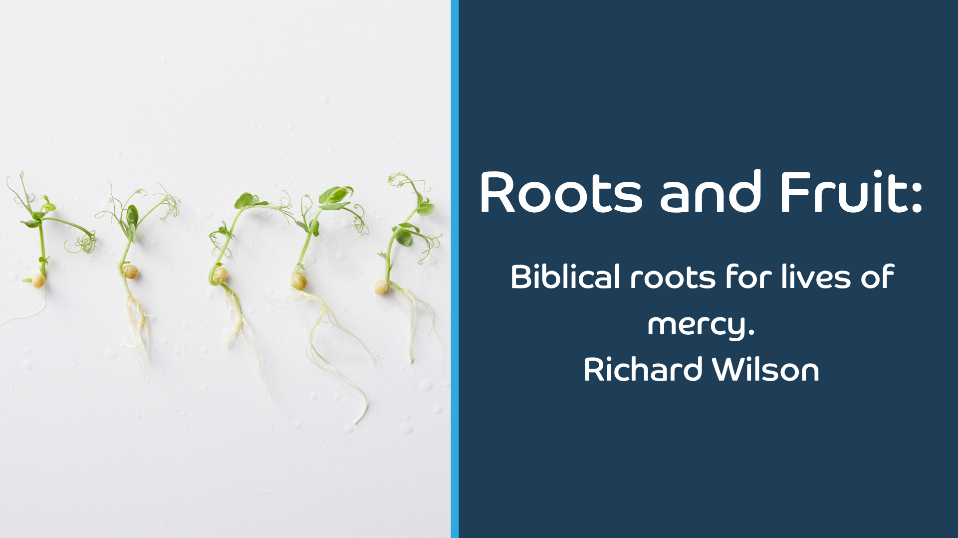 Roots and Fruit